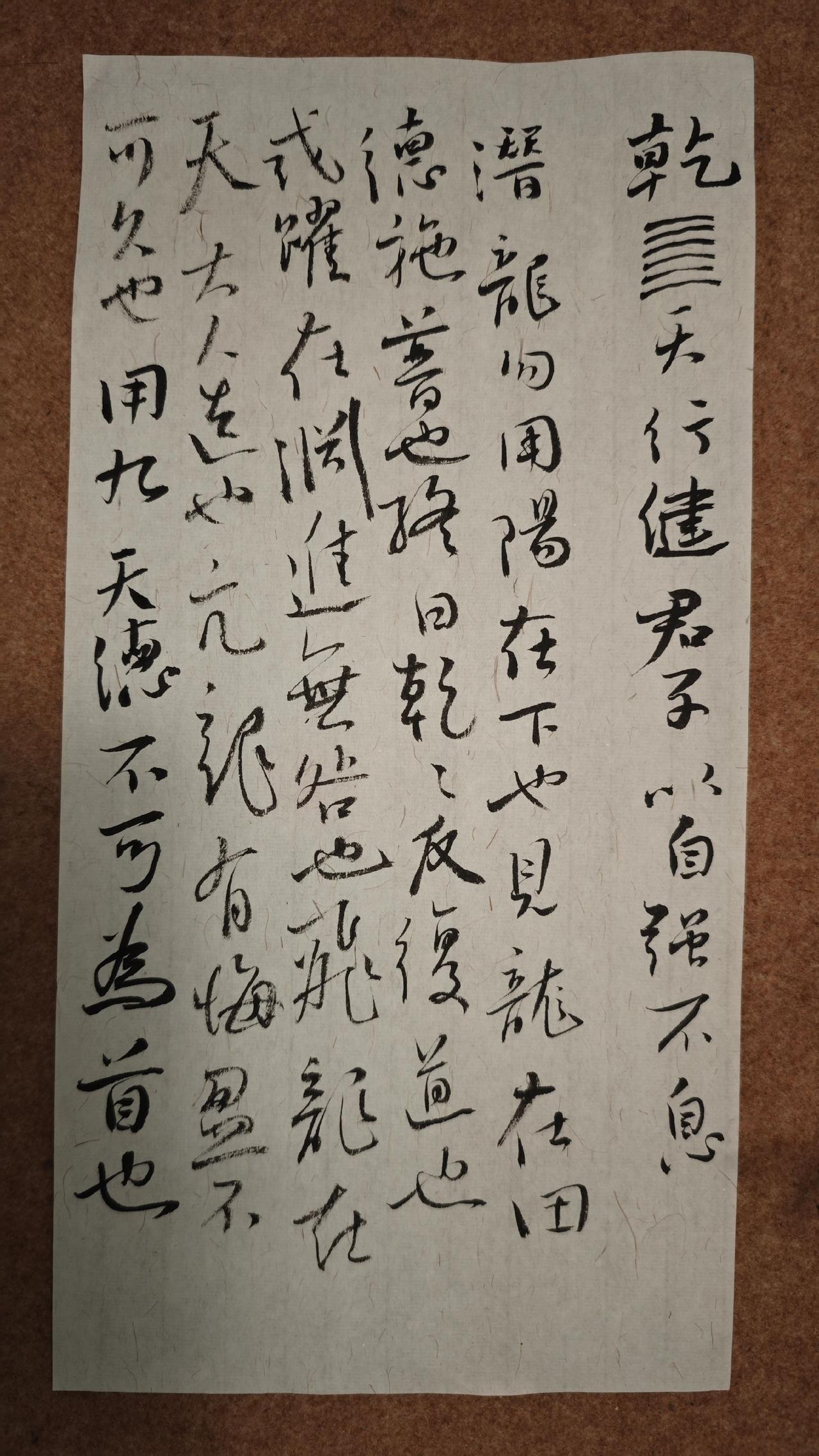 天行健；君子以自强不息。　　潜龙勿用，阳在下也。见龙在田，德施普也。终日乾乾，