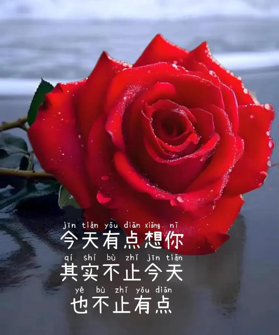 入了心的你是我此生难舍的惦记我一直深爱着你虽红尘万千繁华似锦可在我眼里