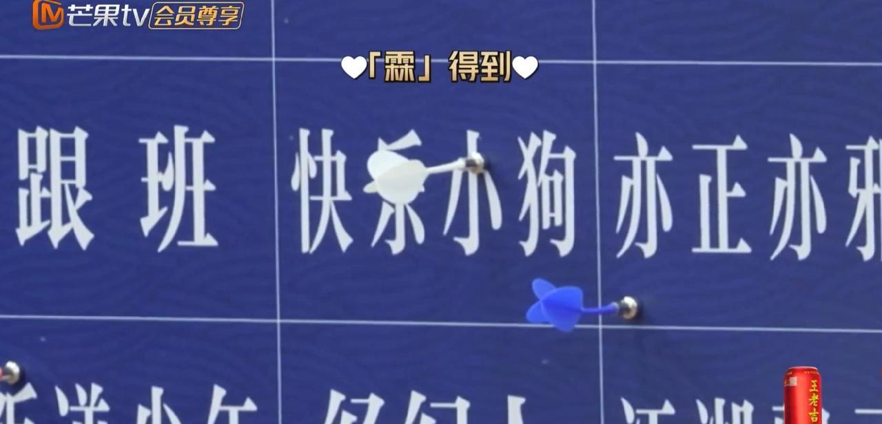 张智霖投中“快乐小狗”的人设，瞬间整个人都不好了，他宁愿放弃反转两次的机会