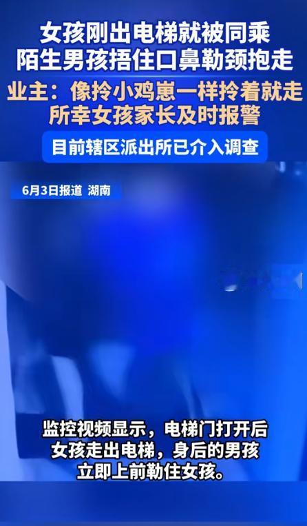 必须严惩！6月5日沈阳网报道，湖南邵阳，一13岁男孩将4岁女童捂住嘴，带到小区楼