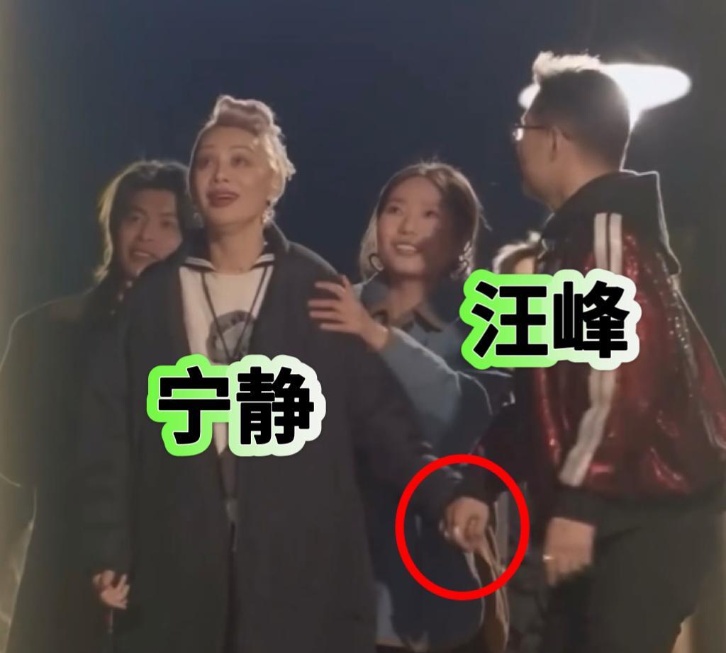 汪峰这次真的过分了！你是一点都不管森林北的感受吗？看桃花坞汪峰给宁静过生日，