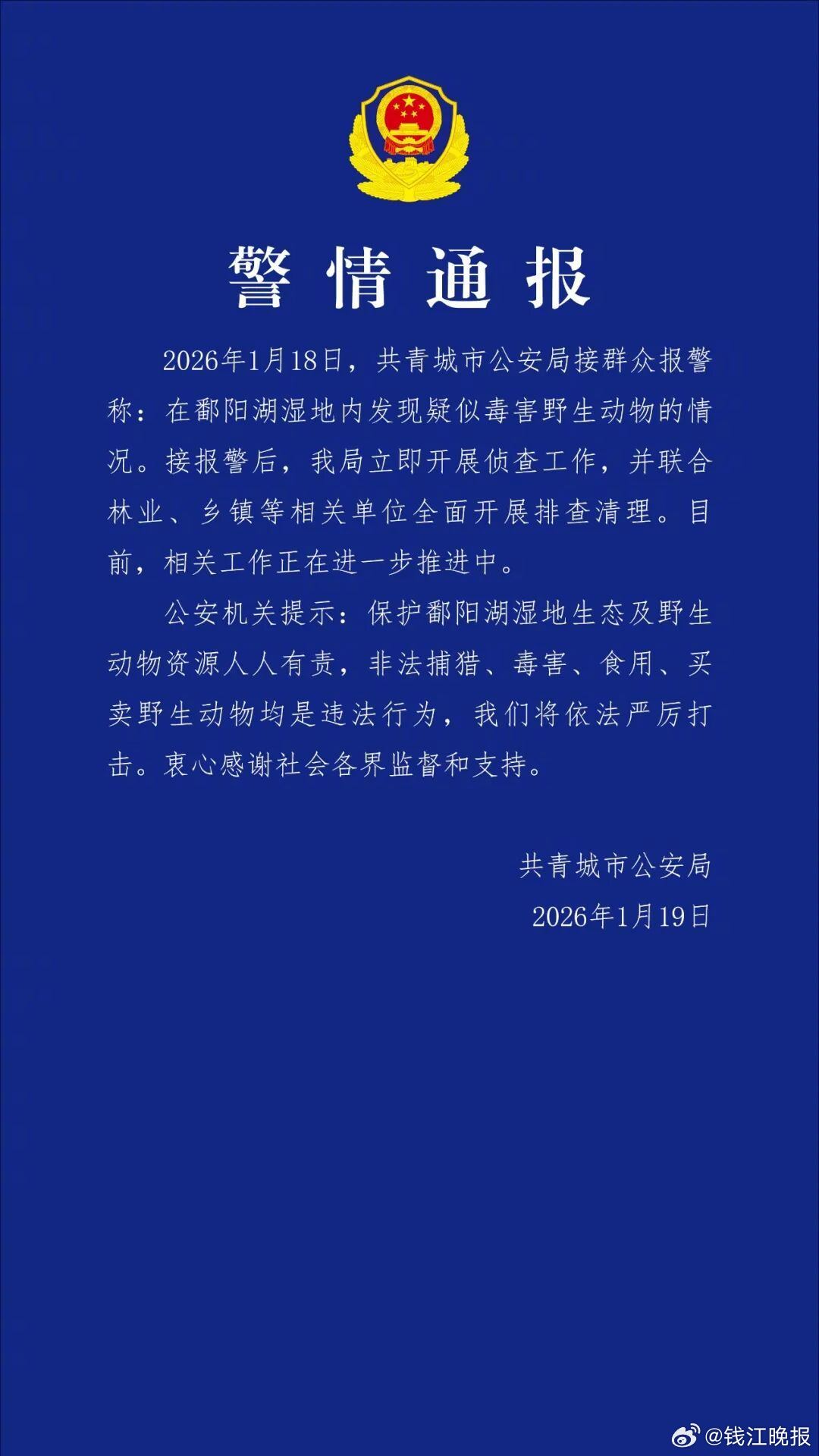 鄱阳湖再响毒鸟警报：珍稀候鸟集体殒命，投毒点遍布三十余处，警方紧急介入调查