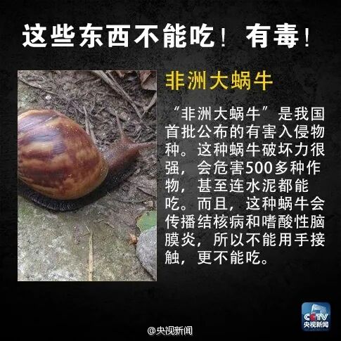 有毒! 无解药! 多地有人中招! 疾控部门提醒: 颜色越深, 毒性越强