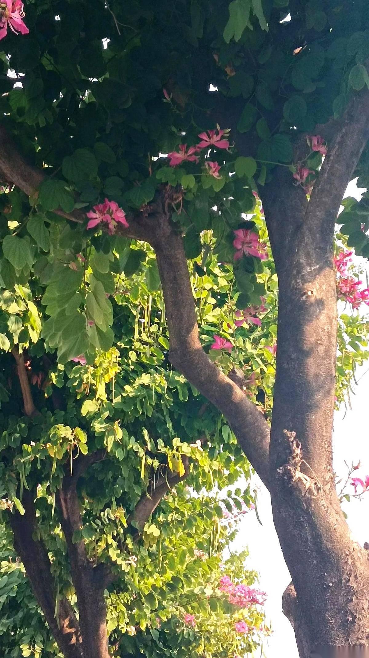 石总饭桌上那句话，我记了好几年。他说，亲姐姐找他借50万买房，他没给，结果五年