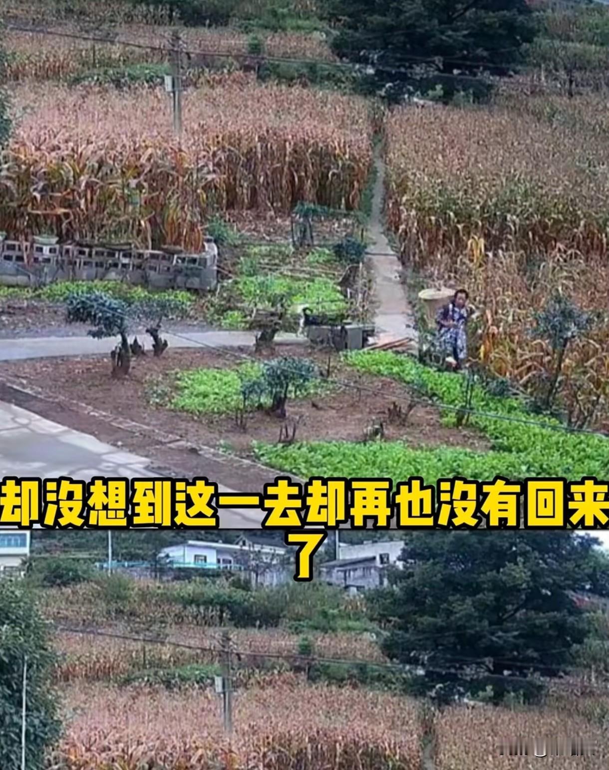 杀人后还去被害人家吃饭？这