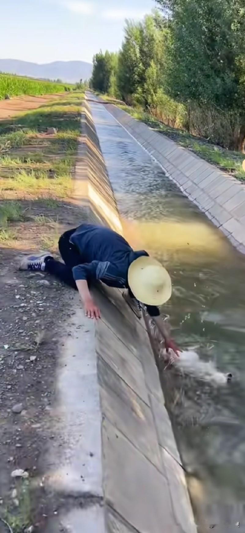 水流湍急的水沟，两侧是光滑的斜坡，一只小狗不慎掉了下去一直往下冲流，一位种菜的大