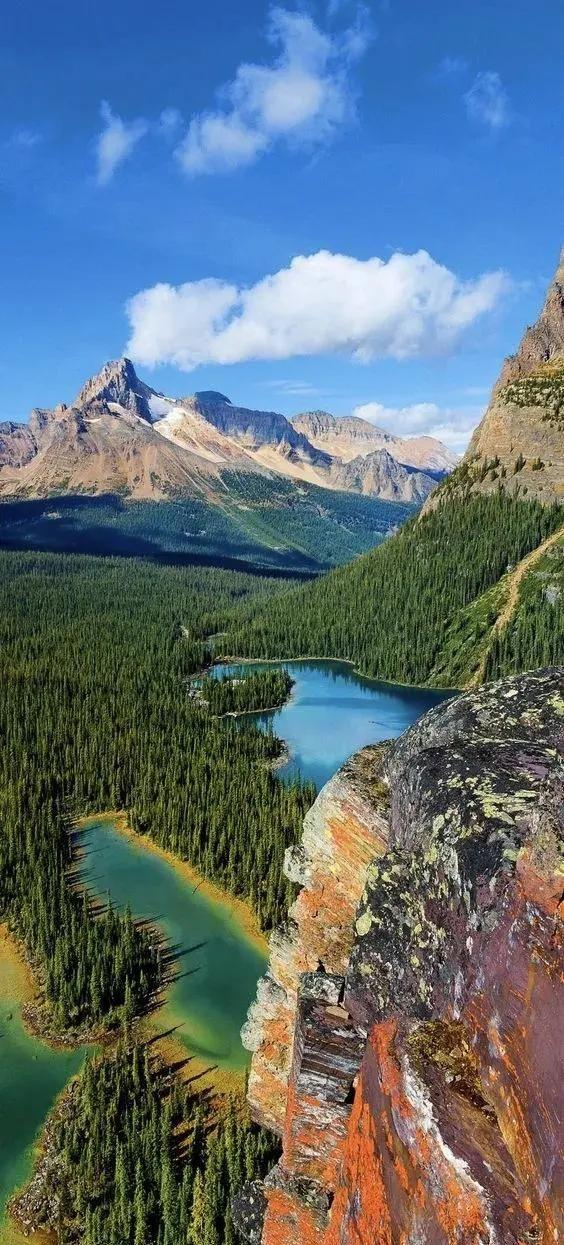 经济学家说：“当今社会最狠的八种人：第一、没有车贷。第二、没有房贷。第三、没有网