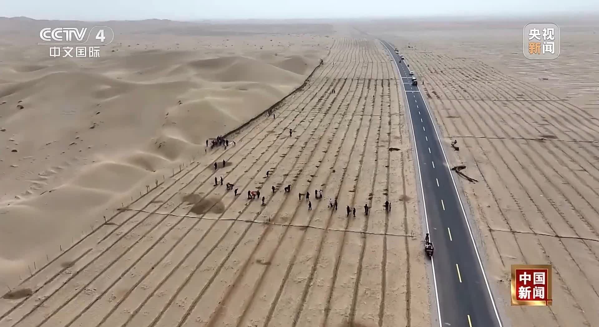 中国人民竟然在沙漠里种出了玫瑰花，这是属于中国人的浪漫！我们不仅将沙漠变