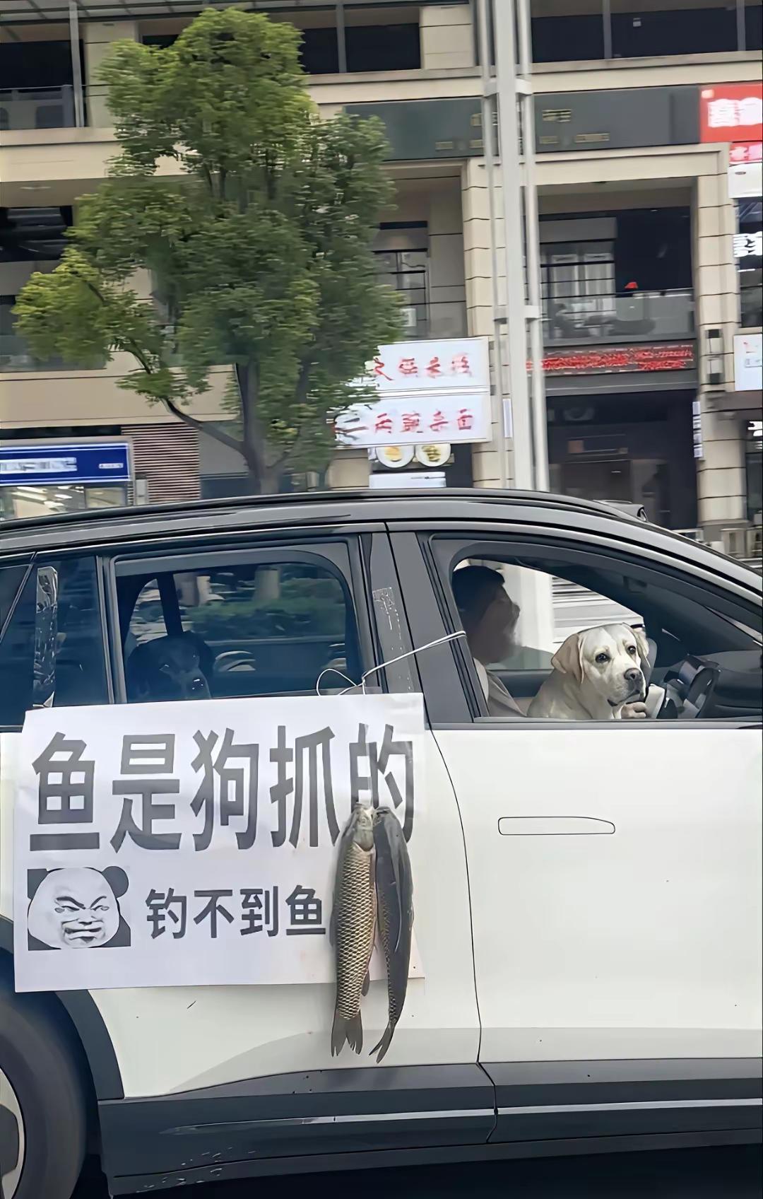 钓鱼佬除了鱼什么都能钓上来[捂脸哭]