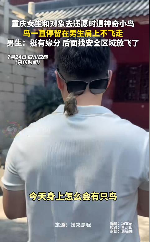 神奇一幕！一对重庆情侣到成都寺庙还愿，坚持吃素7年的男子突然被一只小鸟主动靠近。