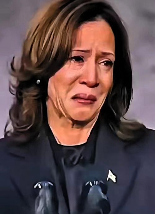 洛杉矶警察局刚撤掉了对哈里斯的保护，这已经是第二拨撤离的安保力量了。之前特朗普直