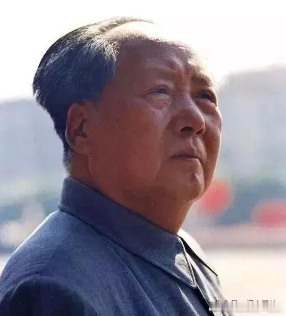 “《水浒》这部书，好就好在投降。做反面教材，使人民都知道投降派。《水浒》只反贪