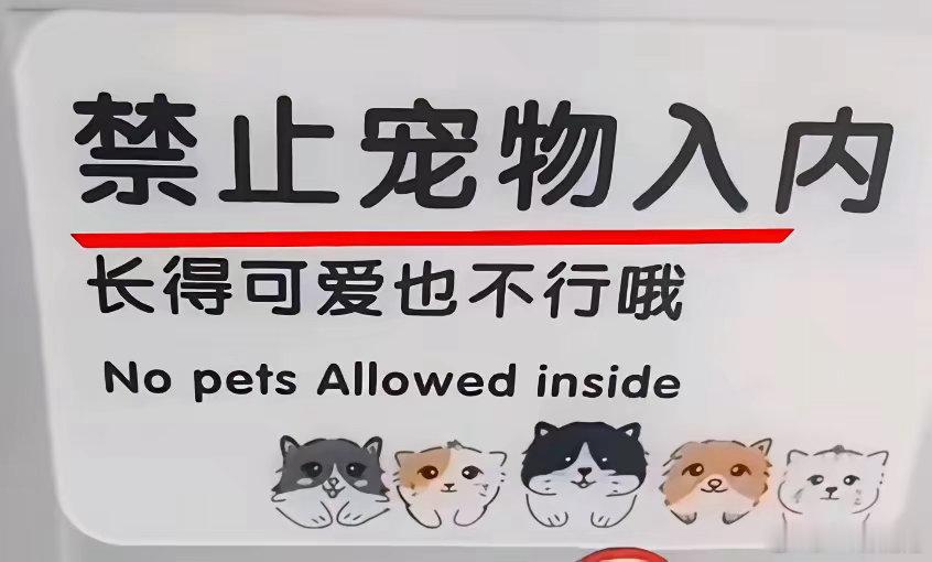 在网上看到的一则消息让人感觉很快意，一位小姐姐牵着一条宠物狗想进店吃早餐，但是被