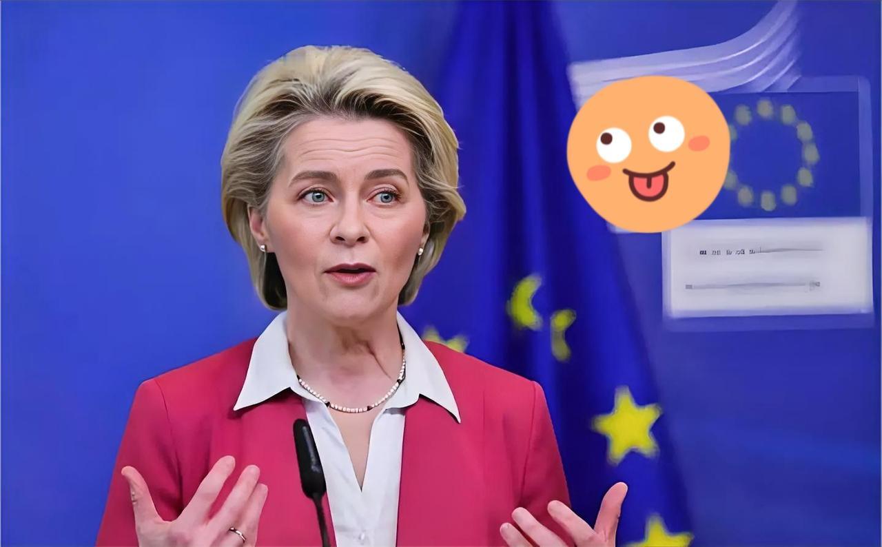 果然！欧盟宣布了一个重磅消息！当地时间12月11日，欧盟轮值主席国丹麦