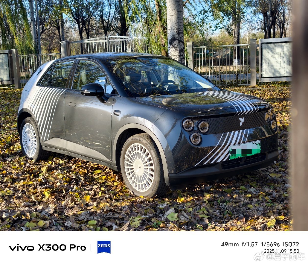 今日体验了蔚来萤火虫夜行生物特别版真的泰酷了这小车真不错啊和这初冬的落叶