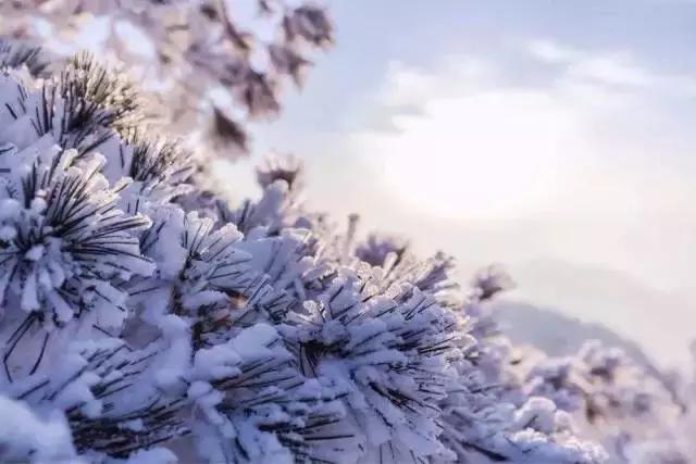 朋友圈下起了2018年第一场雪, 癌症患者冬季进补5个大忌, 需收藏!