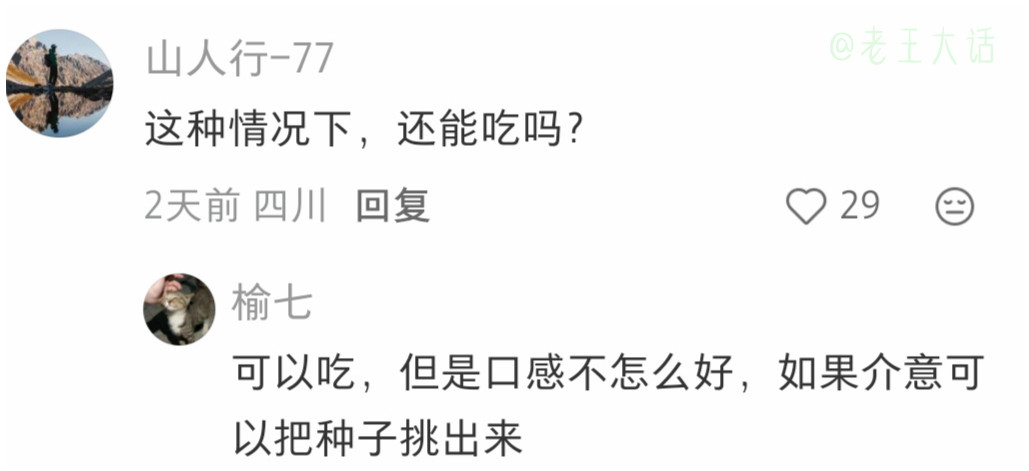 火龙果放冰箱一个月发芽了，不管咋说这样能吃到更多的火龙果了