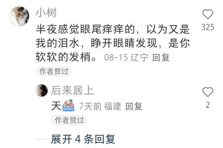 被爱的世界好漂亮​​​