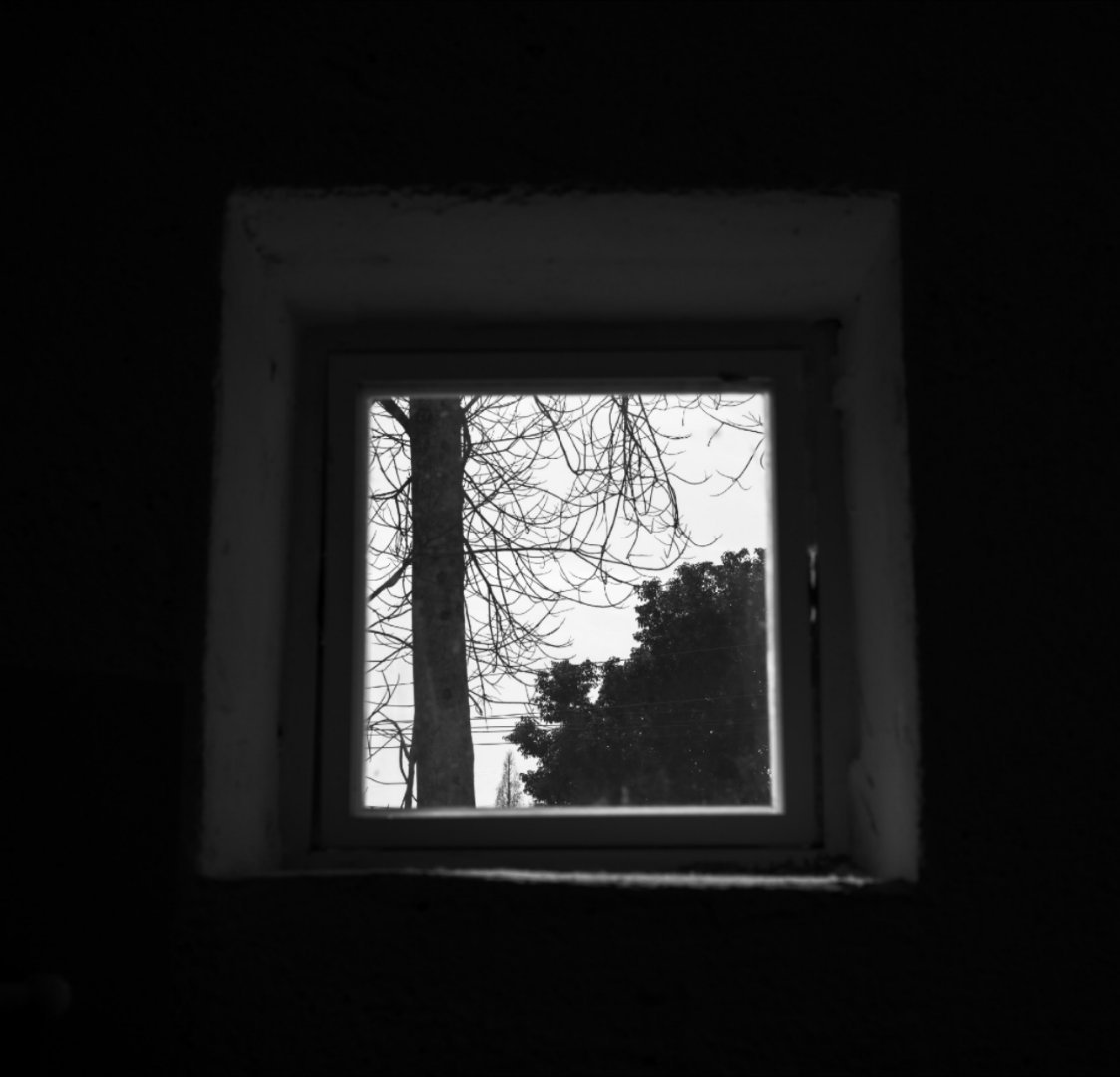 张凌赫交摄影作品了摄影大师张凌赫！拍的好有意境～看来我们该换背景了