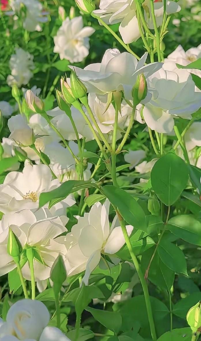 一离异女的在网上认识一个离异男的，聊了两个月，感觉这人挺好的。这男的就把她接家