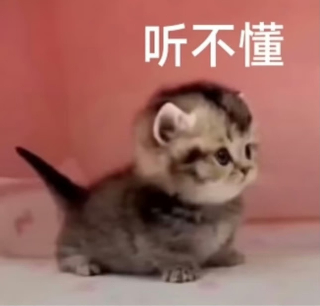 小猫表情包