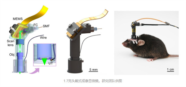 【仅1.7克！我国开发出新型头戴式显微镜：分辨率达1.5微米】3月24日消息，近