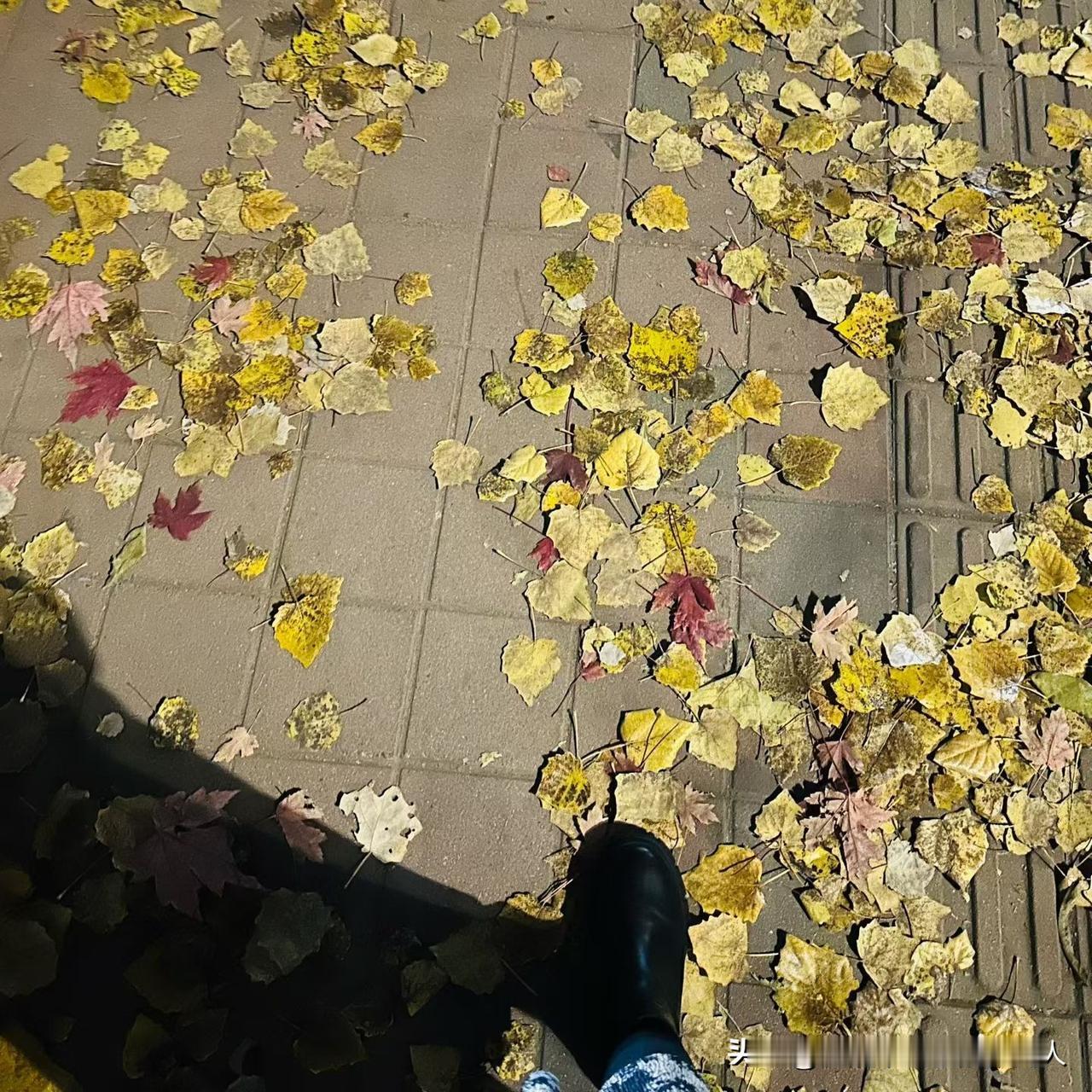 我小姑子离婚没地方住，带孩子在我家住了5年多，要是你们，你们会让住吗？