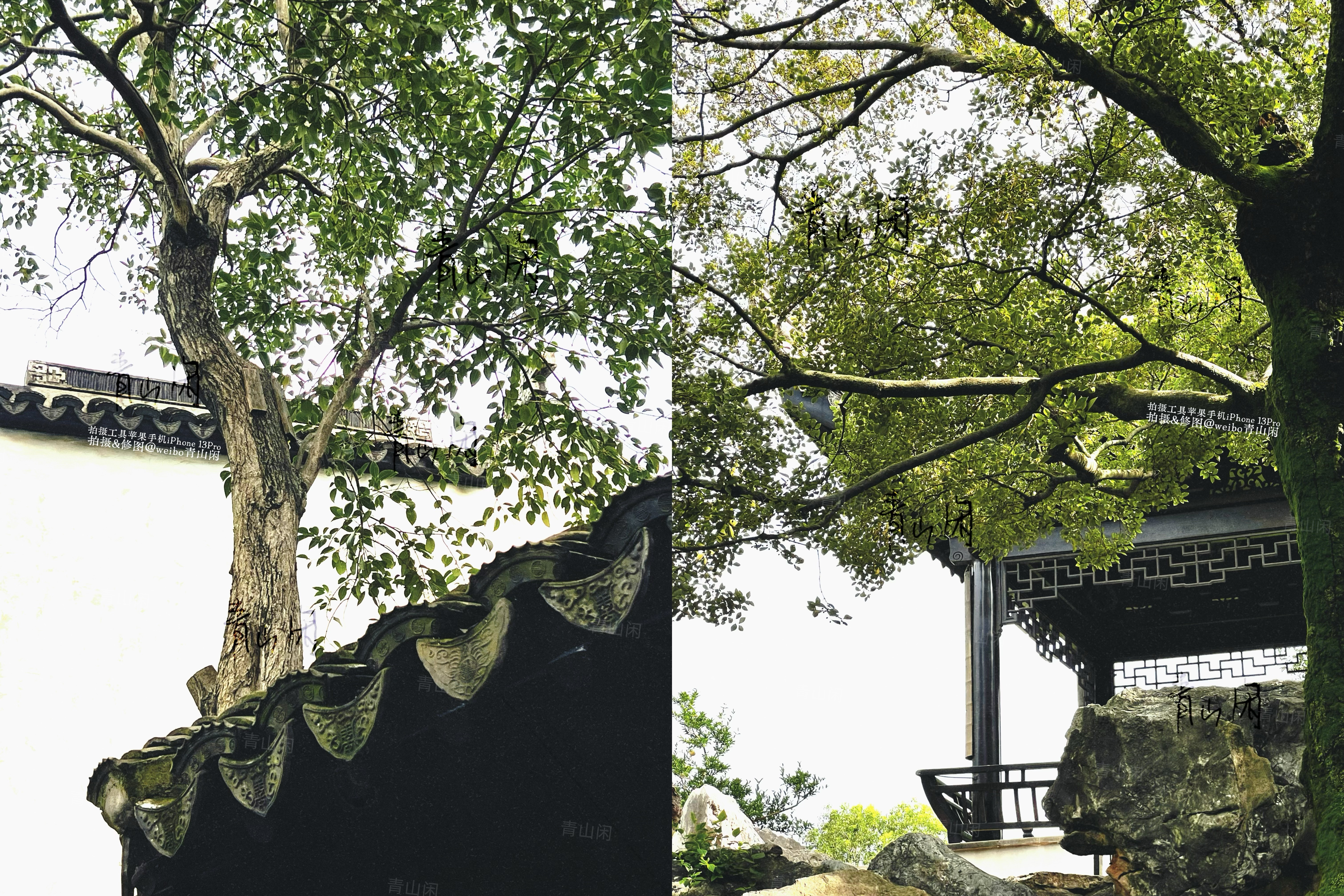 今天又来了据说乾隆六刷的我们苏州木渎古镇严家花园(下图就是好多影视剧取景地)