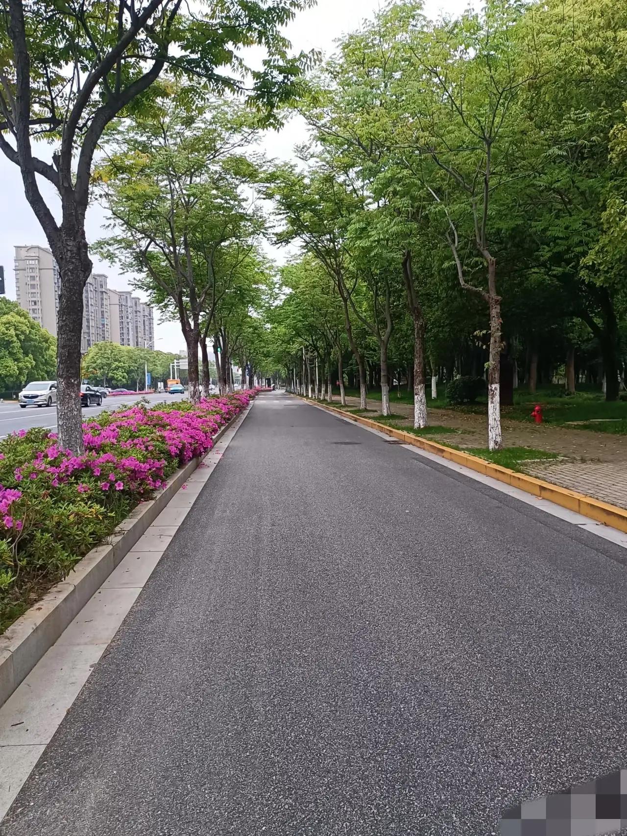 山东，环卫工大姐清晨扫街，突然听见绿化里传来一阵奇怪的“哼唧”声。她忍不住扒开冬