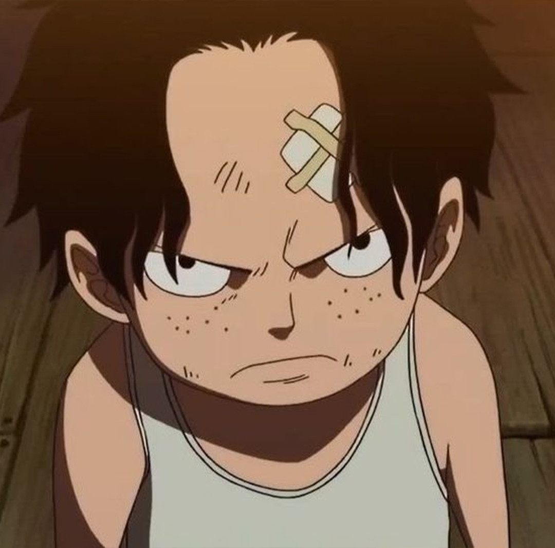 海贼王海贼王少年的蜕变​​​