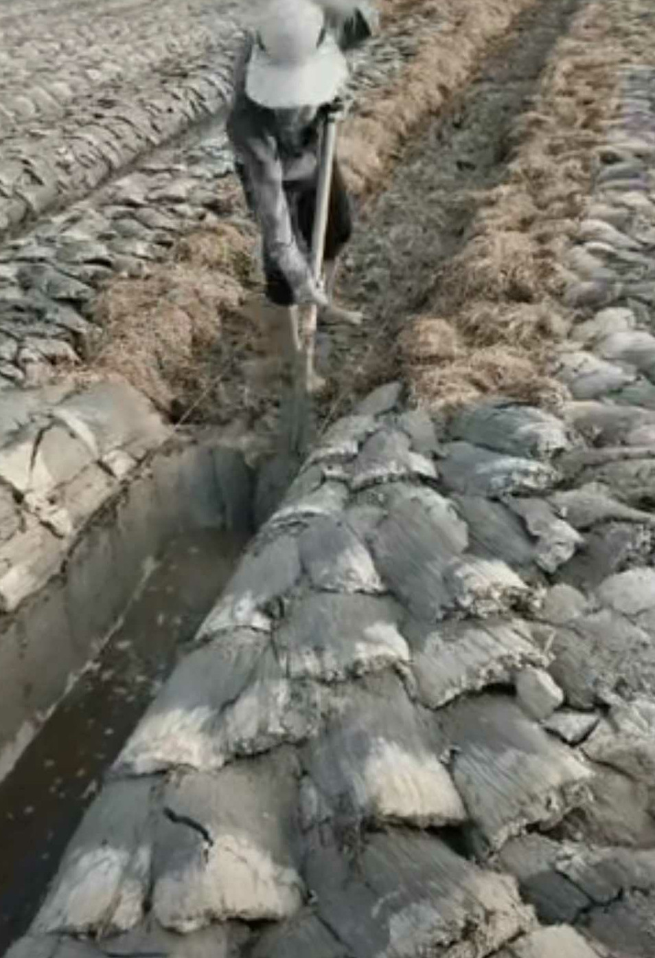 这是有强迫症吧