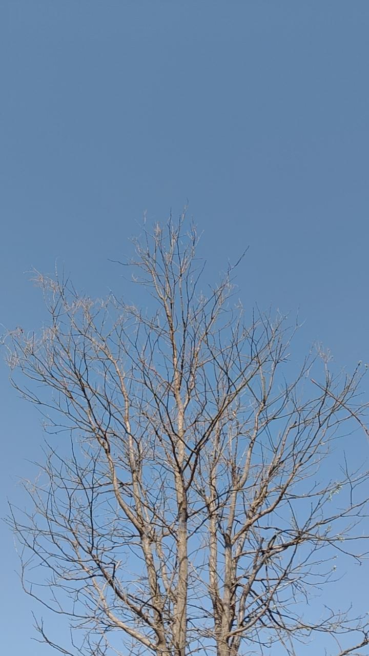 大爷，你是“易孕”体质呀——网上故事：有位大爷，相亲多年，痛苦不堪：“有人跟我