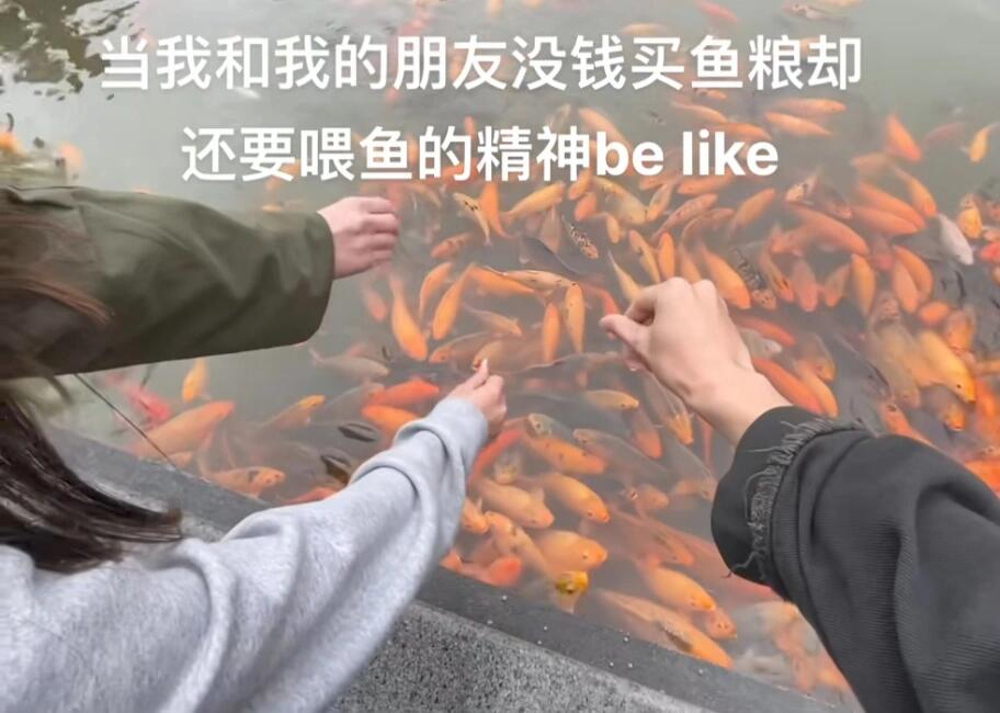 鱼:要喂喂，不喂就拱出去