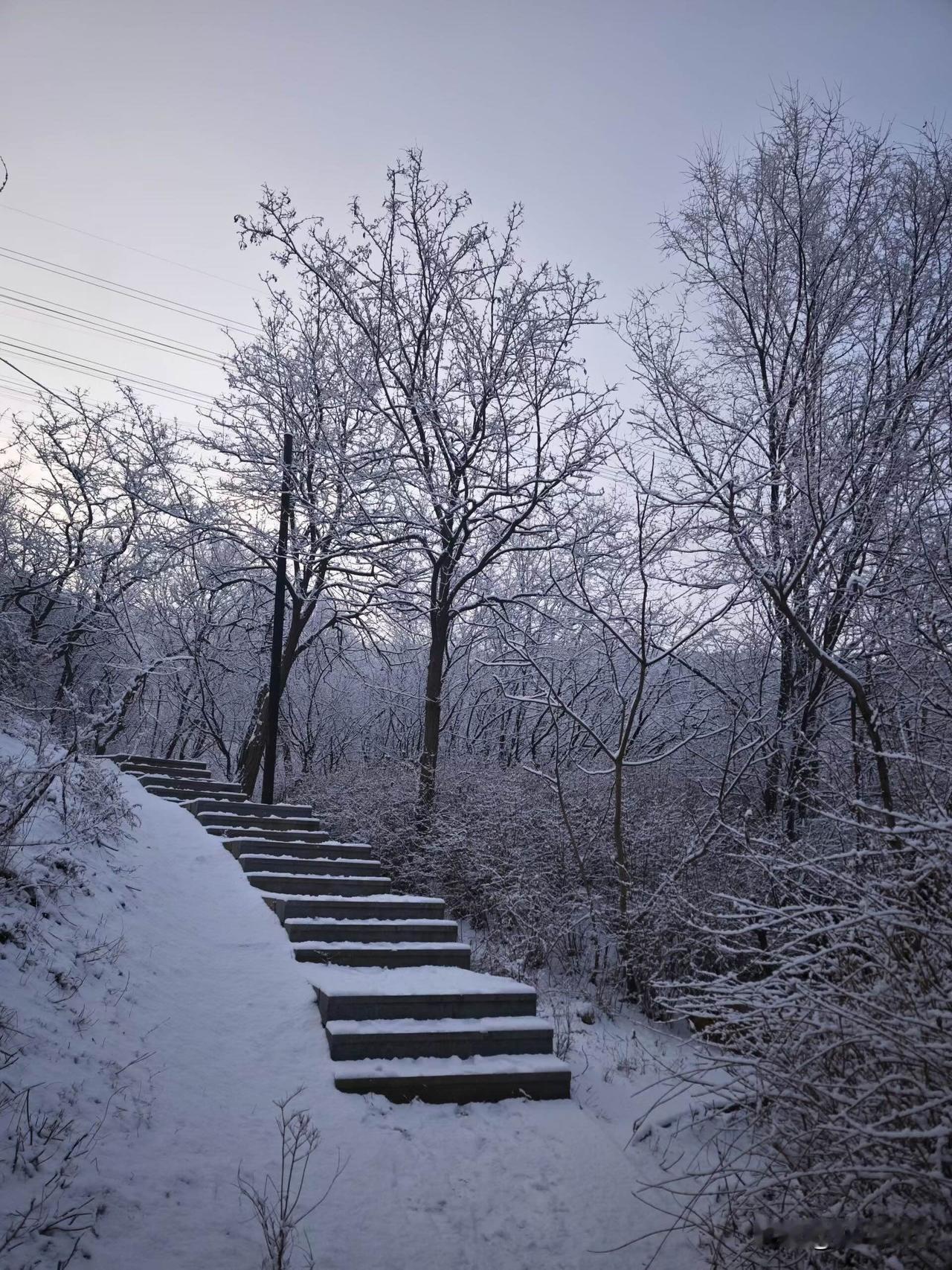 中层领导的“软”，是智慧，不是软弱。你见过有中层开会总是笑眯眯的，说话轻声细语，