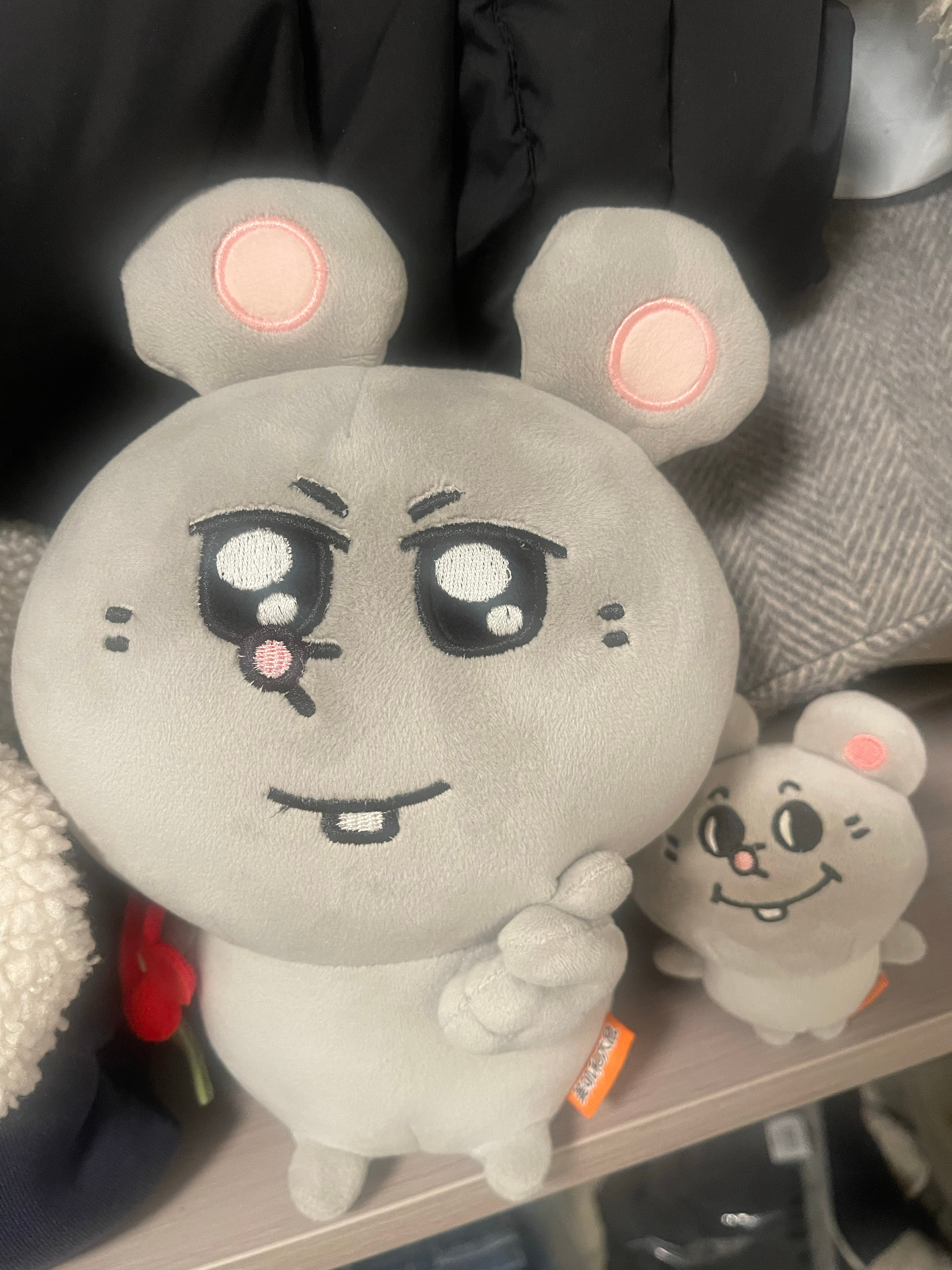 吓我一跳衣柜里有两只老鼠🐭！​​​