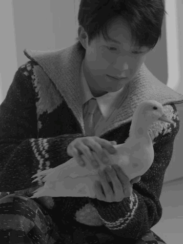 Wallpaper中文版王楚钦封面和小动物🦆🦜好可爱​​​