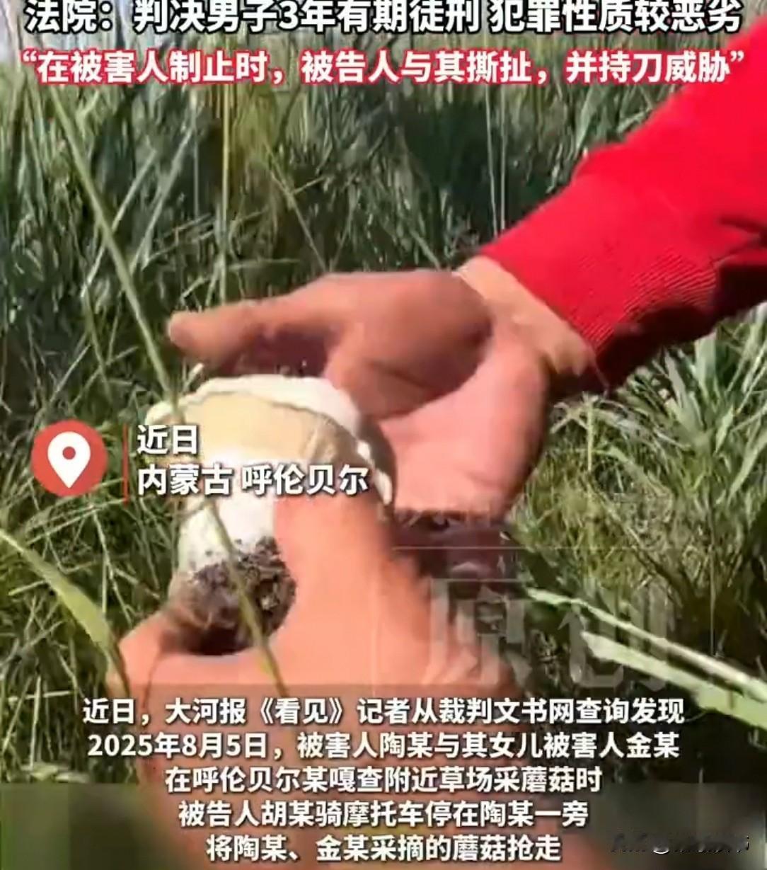 内蒙古一处草场，一男子盯着母女俩采蘑菇。等母女俩准备走时，男子突然蹿出来，一把抢