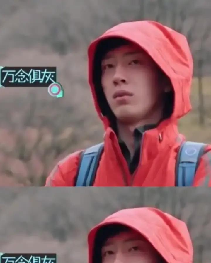 杨洋24岁那年，在最火的真人秀《花少2》里，别人在饭局上摔筷子冷战，他蹲在厕所看《阿衰》看到腿麻，出