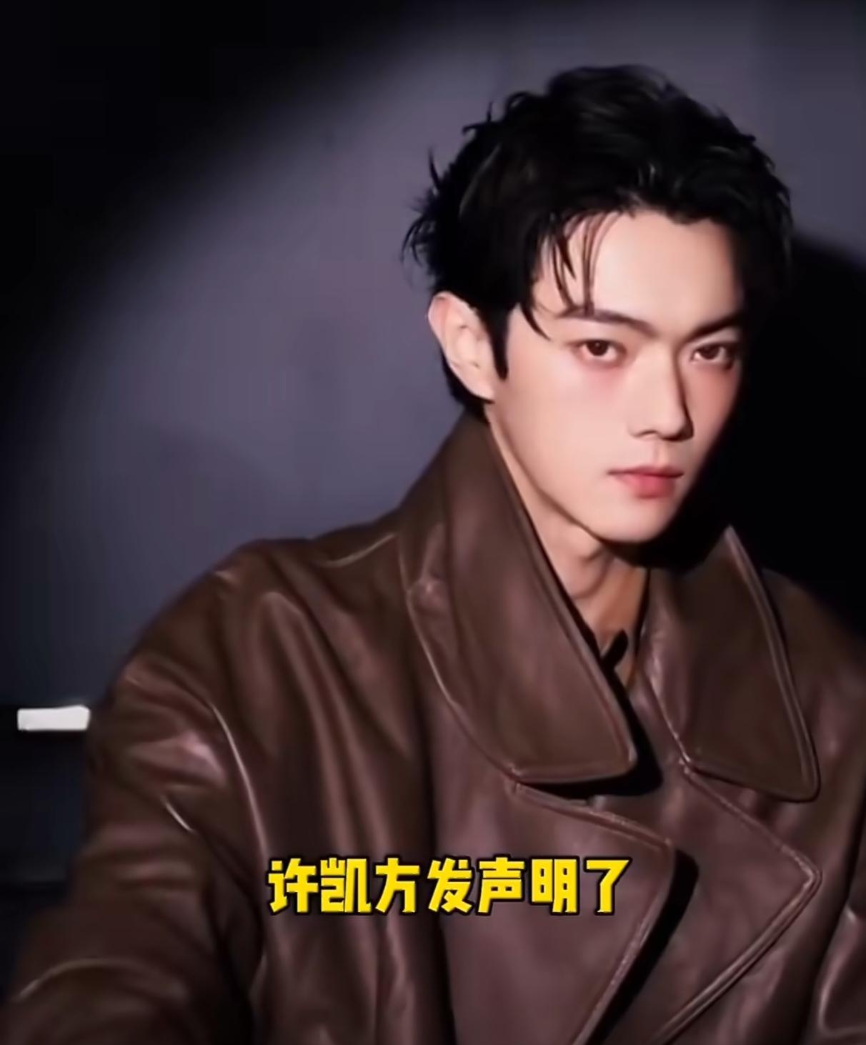 许荔莎说只要许凯一个道歉，可凡事都有代价啊。这爆料一出，许凯三部待播剧都悬了，