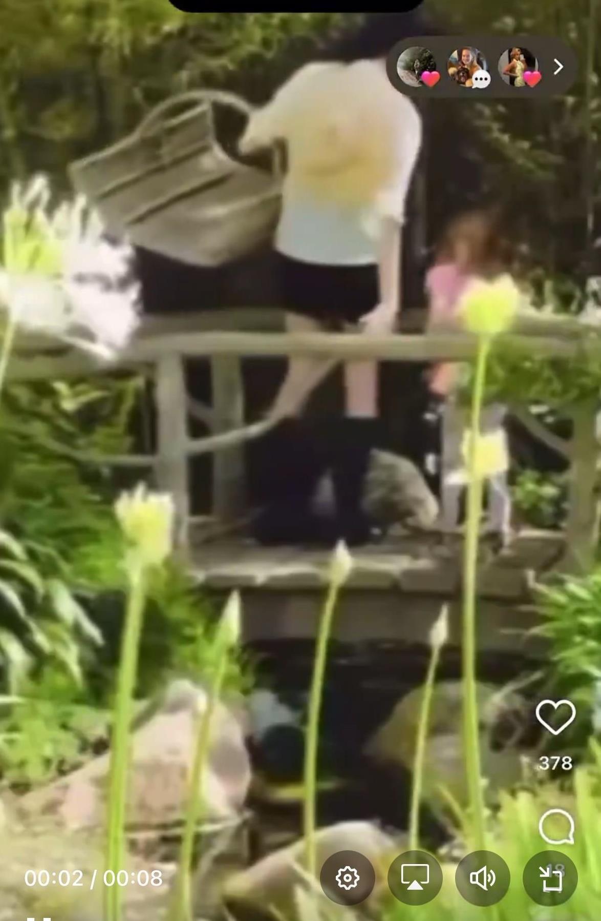 梅根对她的狗狗的爱，远胜于站在她身边的孩子。这些孩子似乎随着每一次疯狂视频的分享