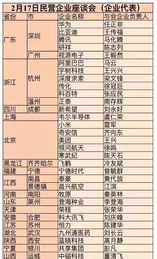 合肥最具代表性的民企，竟然是科大讯飞。这次全国民营企业代表大会，安徽仅一家上榜