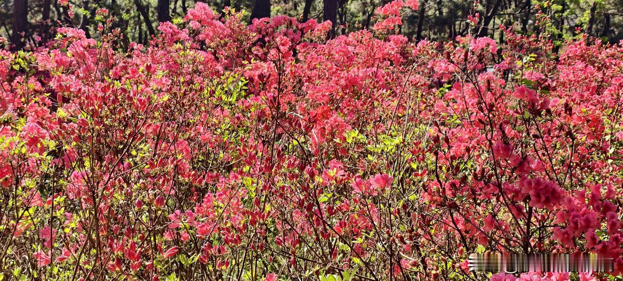 工资到账三分钟，钱就不属于我了每个月15号，是我最开心的日子——发工资了。