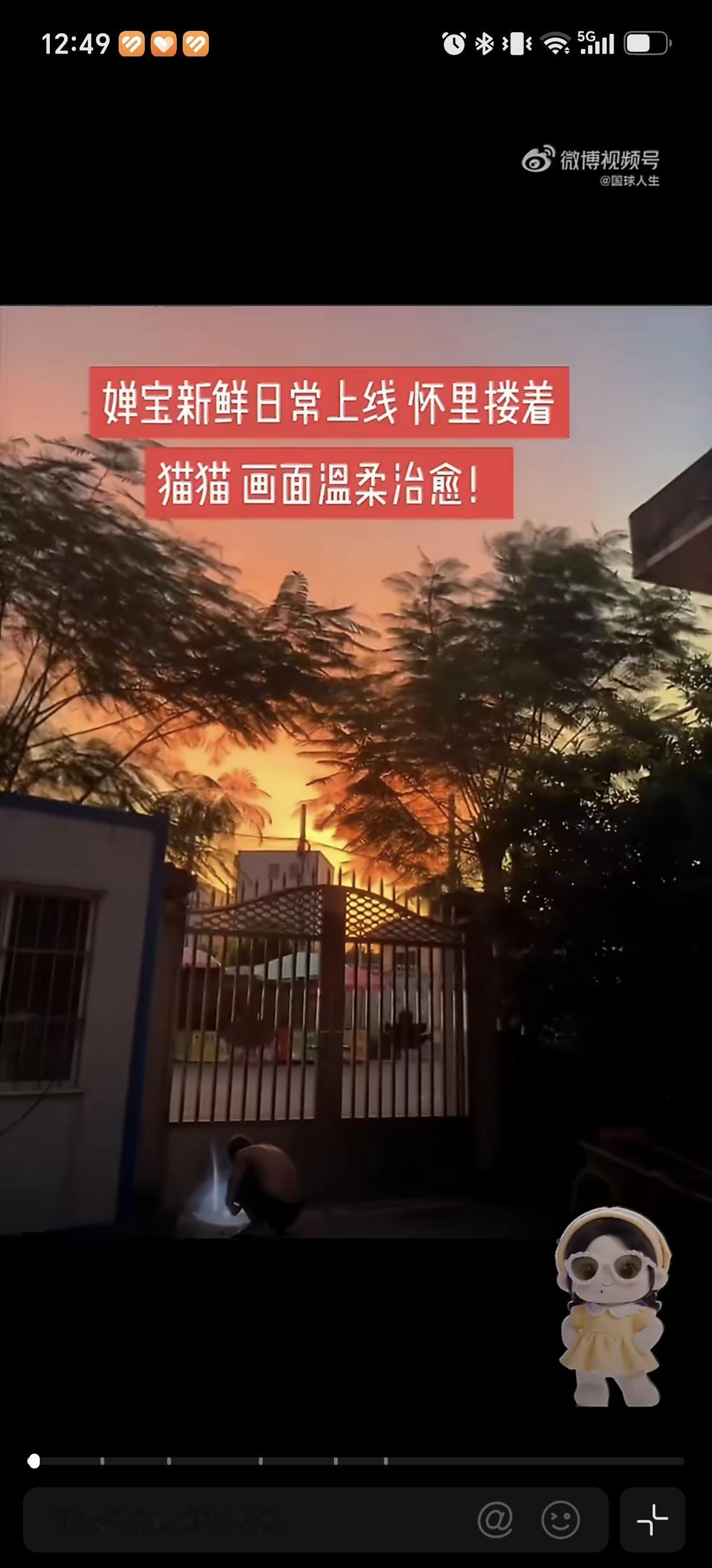 7月28日全红婵暑假回去老家了，在家里走哪里都抱着猫，还拍照自己家的狗.全红婵最