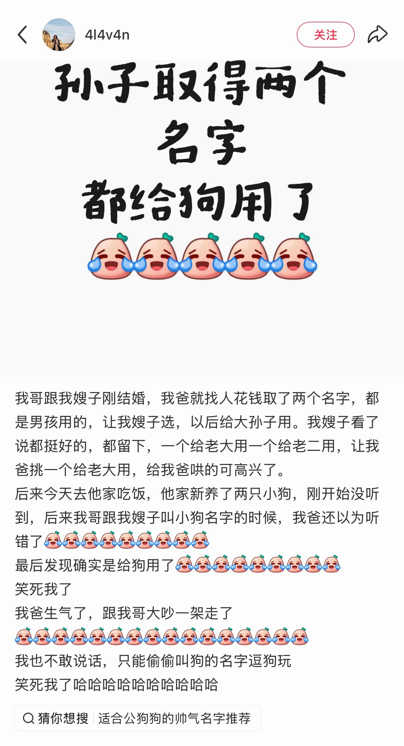 哈哈哈哈哈哈妙