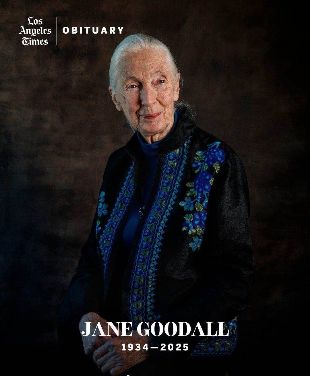 享誉世界的英国灵长类动物学家、动物行为学家和人类学家JaneGoodall去世