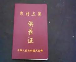 全国足足551万五保户，不用上班、不用劳作、不用攒钱，吃喝住行、看病养老、生老病