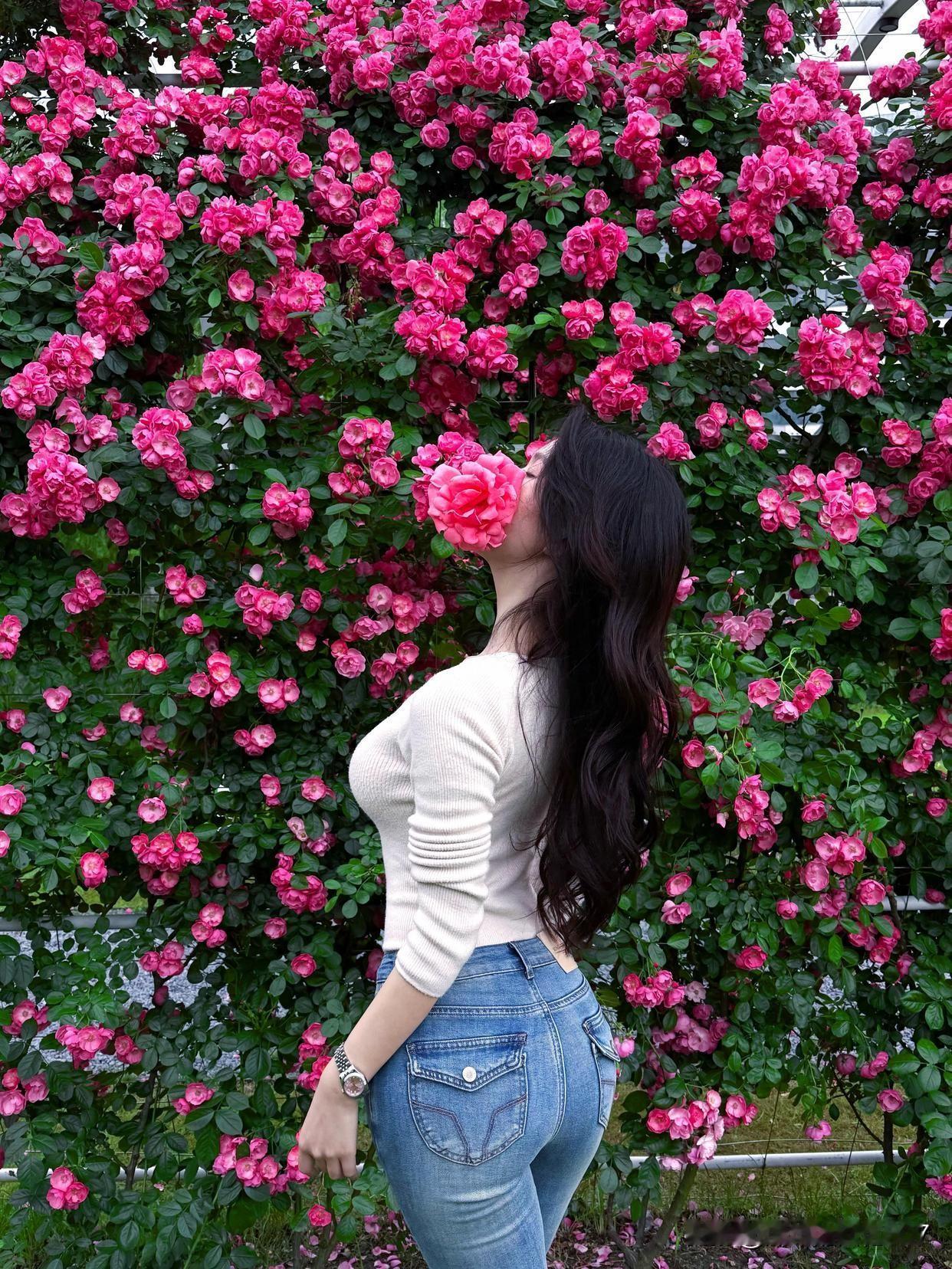 粉嫩玫瑰丛中，轻吻一朵，感受浪漫气息。🌹💕