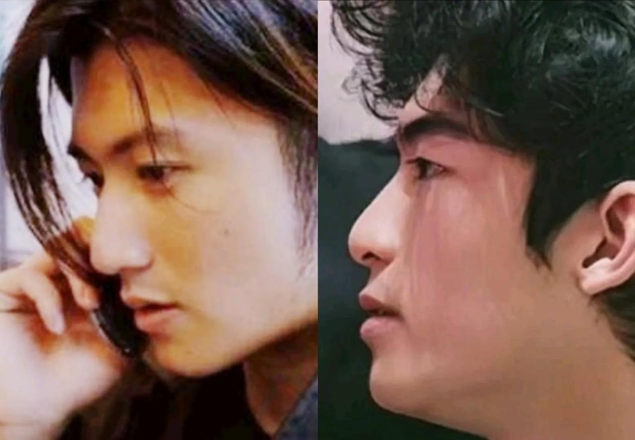 发现谢霆锋的大儿子谢振轩长相也是非常偏成熟，才18岁看上去就很有男子气概，甚至有