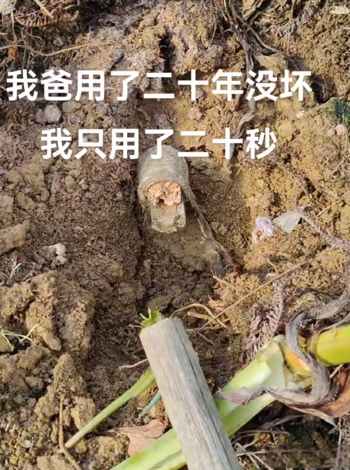 无敌破坏王，哈哈哈