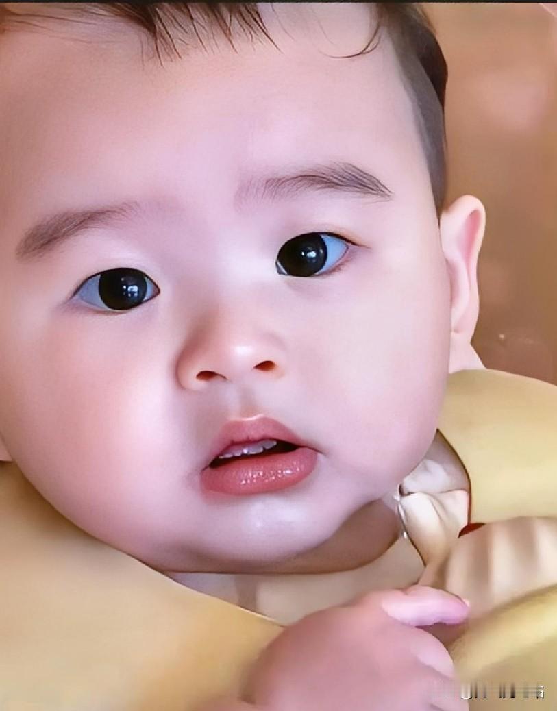 汪小菲一巴掌把汪吉辰这三个字拍在户口本上，硬生生扯断了台北徐家最后一根念想。你仔